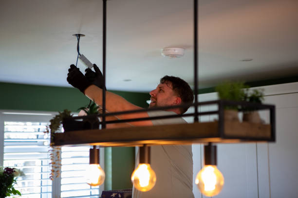 Best Affordable Electrician  in Lone Tree, IA
