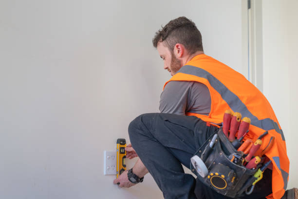 Best Home Electrical Repair  in Lone Tree, IA