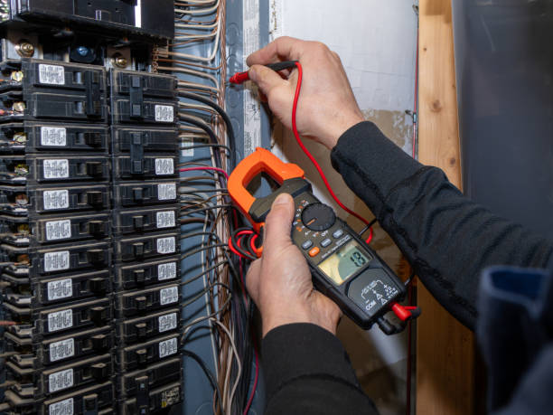 Best Local Electrician Companies  in Lone Tree, IA